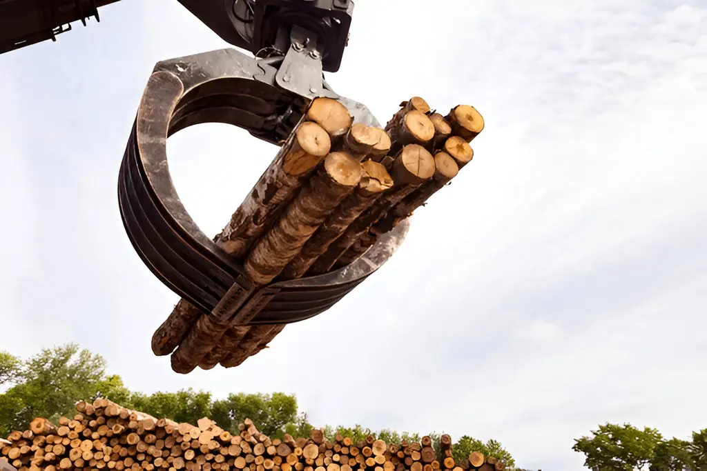 Debarking & Sawing How Logs Become Quality Lumber